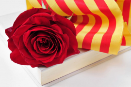 La UOC celebra Sant Jordi amb una antologia de poesia de dones