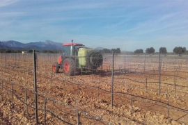 Unió de Pagesos proposa lligar el consum de productes locals a la categoria dels hotels