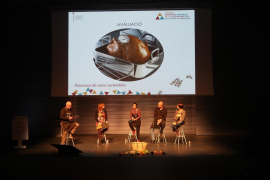 El Govern impulsarà la innovació educativa a través del programa 'Estades pedagògiques'