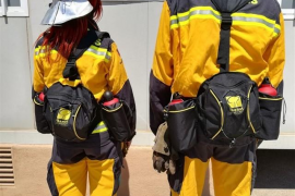 Un incendi a Andratx crema 1,5 hectàrees de matoll