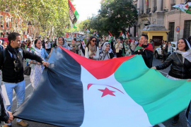 Les Balears destinen 35.000 euros a l'acolliment humanitari d'estudiants sahrauís