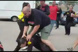 [VÍDEO] Mateu Marimon Roman i altres ultres apallissen un guarda de seguretat a Son Moix