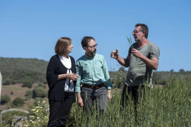 Castells: «Volem integrar al màxim la producció agrària i la indústria alimentària»