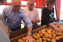 El Pi eliminaria les ZEPA «en zones agràries que no tenguin el suport dels afectats»