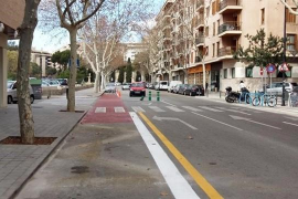 Biciutat demana als partits arribar als 100 km de carril bici la pròxima legislatura