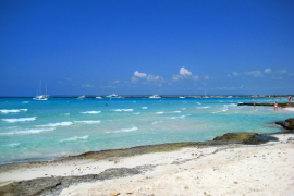 Vidal ha matisat que les platges com Sa Calobra o Es Trenc mai no tindrien una bandera blava, «tot i les aigües cristal·lines» d'aquests espais.