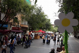 El carrer Blanquerna celebra aquest dissabte el Dia del Medi Ambient