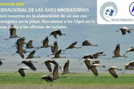 Cartell de l'activitat.