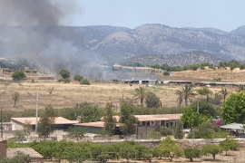 [VÍDEO] Un incendi als voltants de La Real provoca alarma