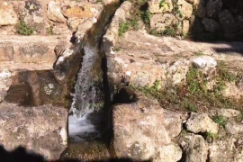 El període entre gener i juny de 2019 ha estat el segon més sec documentat a Sóller