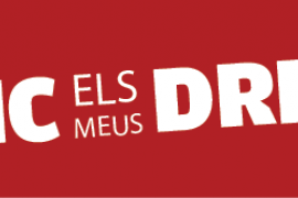 El web estudiarencatala.cat recollirà les queixes dels alumnes, professors i treballadors de les universitats que vegin vulnerats els drets lingüístics.