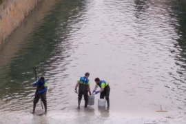 El GOB denuncia la utilització de fitosanitaris en la gestió de l’aigua de sa Riera