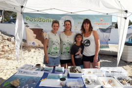El GOB instal·la aquest estiu carpes informatives a quatre platges per a sensibilitzar sobre la posidònia