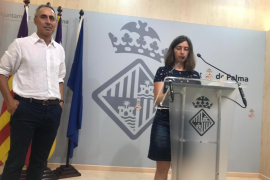 L'Ajuntament de Palma «no té cap constància» de l'organització d'una correguda de toros