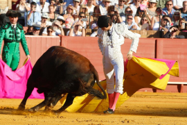 Dubten de les condicions de la plaça de Toros de Palma segons la 'llei de toros a la balear'