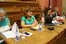 Els darrers nomenaments completen l'organigrama del Consell de Mallorca