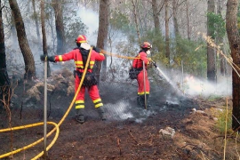 El judici per l'incendi de la Serra de 2013 serà de l'11 al 15 de novembre