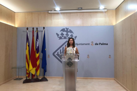 Cort estén l'ús de s'Escorxador de principalment comercial a sociocultural i sanitari