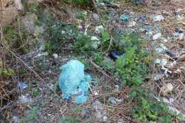 Esquerra d'Alaró demana la substitució d'escombraries urbanes per contenidors de reciclatge