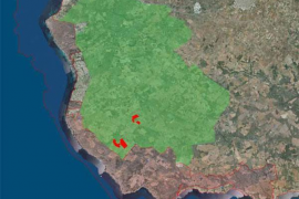 En tramat, les actuals zones Natura 2000 (LIC i ZEPA). En verd, la zona proposada com a ZEPA per la nostra entitat, en atenció a la seva importància ornitològica. En vermell, les parcel·les afectades pel projecte de parc fotovoltaic presentat per Llucmajor Photovoltaic SL..