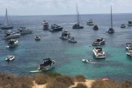 El GOB demana la paralització immediata de l’atracament d’embarcacions d’excursions turístiques a Portals Vells