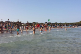 El GOB denuncia la sobreocupació amb parasols i gandules a la platja de sa Coma