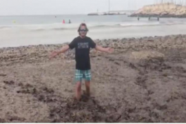 Actúa assenyala que la retirada de posidònia «suposa que la ultradreta li marqui el pas al Govern»