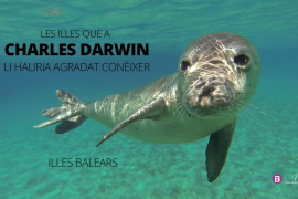 'Les Illes que a Charles Darwin li hauria agradat conèixer', premi d'Excel·lència Naturalesa i Vida salvatge 2019