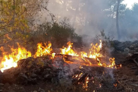 Nou incendi provocat a Esporles
