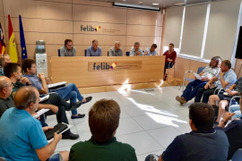 El Consell modifica l'ordre de vedes «per a afavorir la conservació de la tórtora»