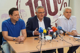 El Pi renuncia a presentar-se a les eleccions espanyoles per falta de recursos econòmics