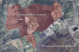 Declarat a Alcúdia el refugi de fauna privat més gros de Mallorca