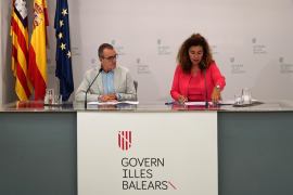 El Govern crea l'Institut Balear de l'Energia