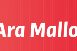 Neix Ara Mallorca, una organització política sobiranista, socialista, ecologista i feminista