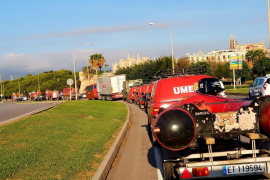 El Parlament acorda demanar una base permanent de la UME a Mallorca amb dotacions d'efectius a Eivissa i Menorca
