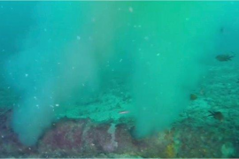 Formentera instarà el Govern a incloure en els pressuposts una partida per arreglar l'emissari