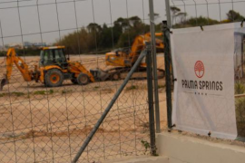 La Plataforma per ses Fontanelles insisteix a Cort perquè «salvi la zona humida».