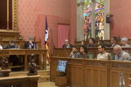 El PSIB defensa que la modificació pressupostària del Consell és fruit d'una «gestió prudent»