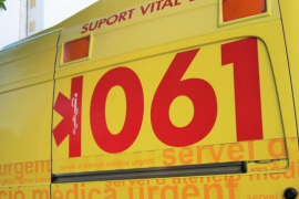 Cort afirma que la palmera que va caure i va matar una dona fou revisada al setembre