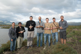 Amollades a s’Albufereta una trentena d’exemplars d’una espècie en perill crític d’extinció a l’Estat