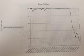 Cau en picat l'ús del català en les propostes que presenten els grups polítics de l'Ajuntament de Palma