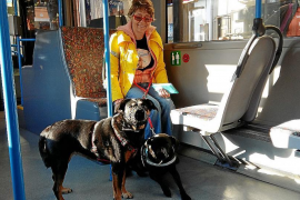 Les mascotes podran viatjar en totes les línies de l'EMT