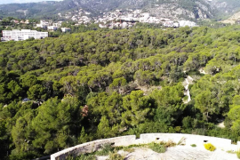 El tractament es realitzarà a la nit.