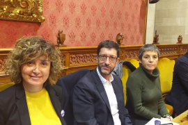 El Pi retira l'esmena a la totalitat als Pressuposts del Consell de Mallorca