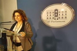 MÉS: «El grup d'extrema dreta al parlament no permet signar una declaració pel 25N»