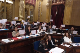 PSIB, MÉS i Unides Podem exhibeixen cartells contra la violència masclista durant la intervenció de Vox