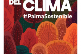Cort projectarà dilluns un vídeo sobre els efectes del canvi climàtic amb motiu de la Cimera pel Clima