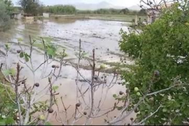 El desbordament de torrents causa el talls de carreteres que afecten Manacor, Sineu, Petra i sa Pobla