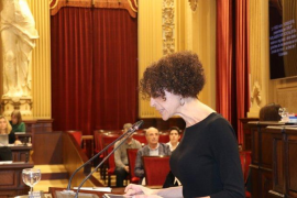 El Parlament aprova una PNL perquè s'instal·lin més estacions de vigilància i control de l'aire