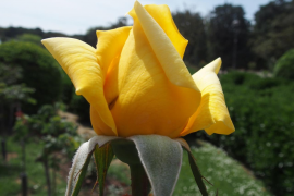 Estimar també és d’esquerres